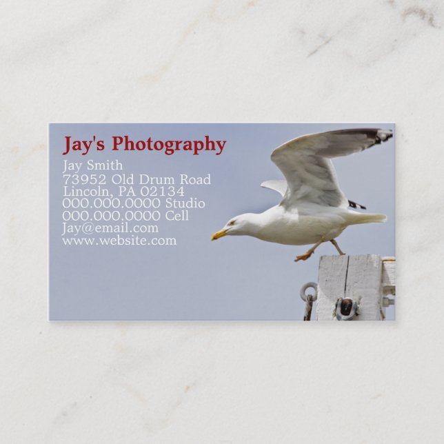 Nature Photography Business Cards (Front)