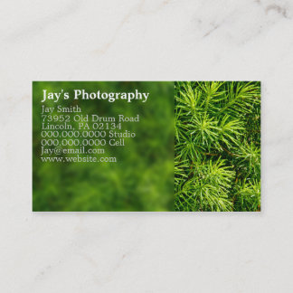 Nature Photography Business Cards