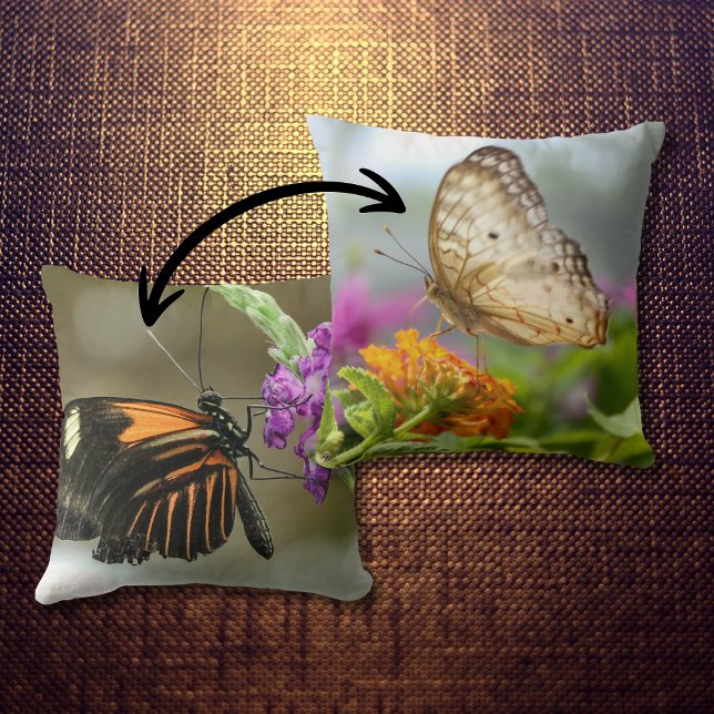 Nature Photography Butterfly on Flower Cushion (Creator Uploaded)