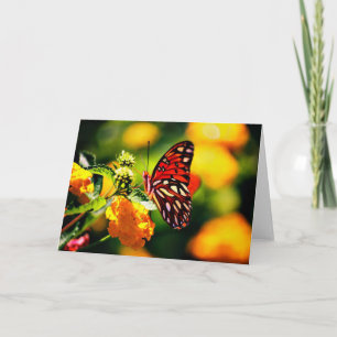 Nature Photography Card