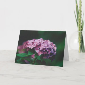 Nature Photography Card