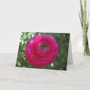 Nature Photography Card