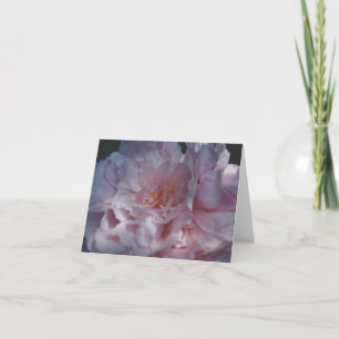 Nature Photography Card