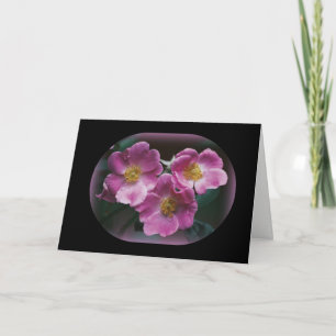 Nature Photography Card