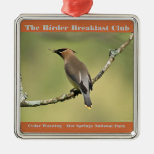 Nature Photography Cedar Waxwing Birder Metal Ornament