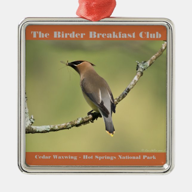 Nature Photography Cedar Waxwing Birder Metal Ornament (Front)