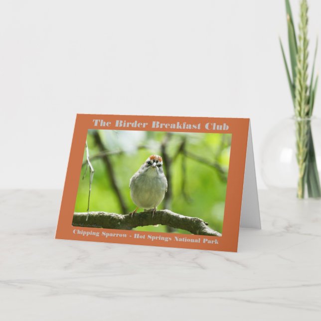 Nature Photography Chipping Sparrow Birder Card (Front)