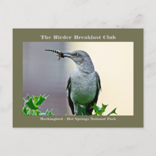 Nature Photography Mockingbird Birder Card