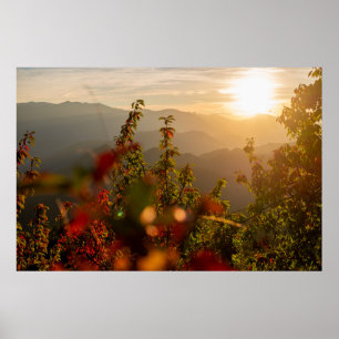 NATURE PHOTOGRAPHY OF GREEN TREES OVERLOOKING MOUN POSTER