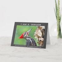 Nature Photography Pileated Woodpecker Birder