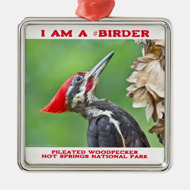 Nature Photography Pileated Woodpecker Birder Metal Ornament (Front)