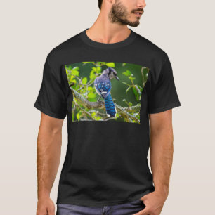Nature Photography Shy Blue Jay Apparel Gifts T-Shirt