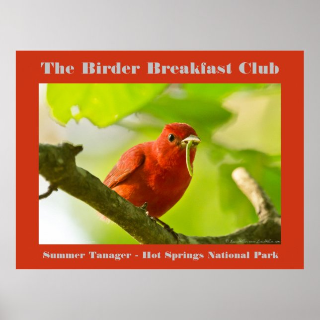 Nature Photography Summer Tanager Birder Poster (Front)