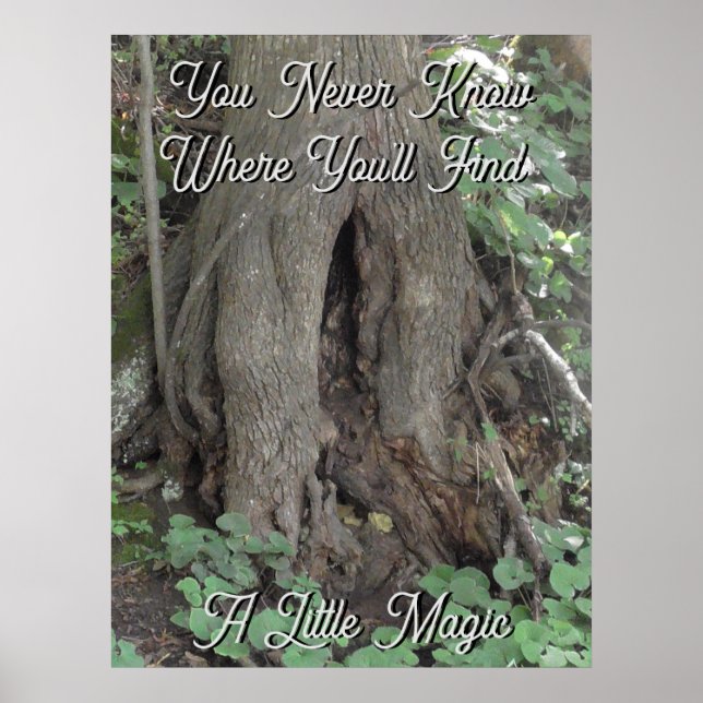 Nature Photography Tree Trunk Fairy Door Poster (Front)