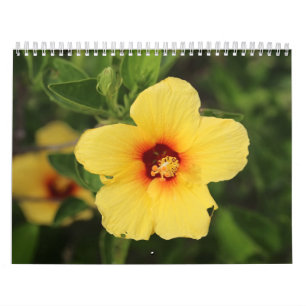 Nature photos from Kaui Calendar