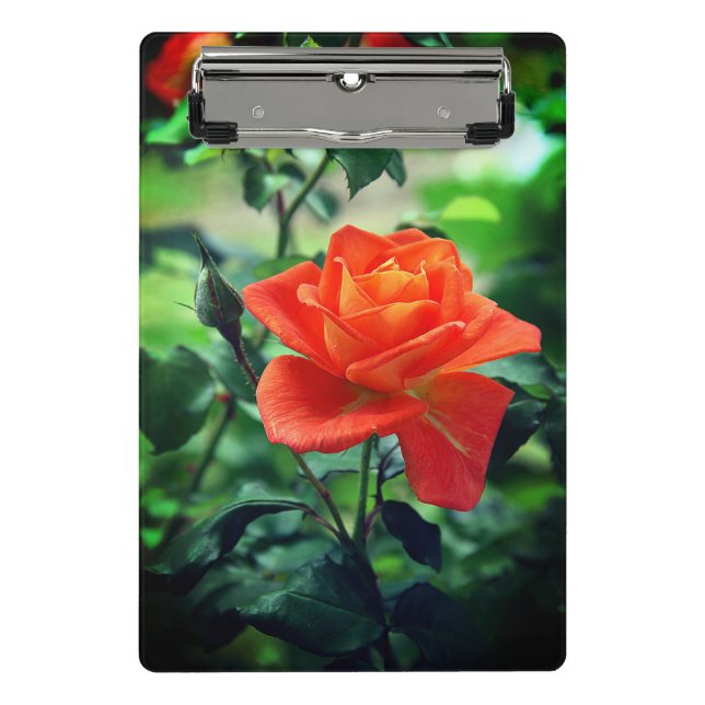 Nature Pink Rose Flower-46458 Mini Clipboard (Front)