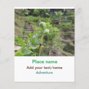 Nature plants photography beach water travel name