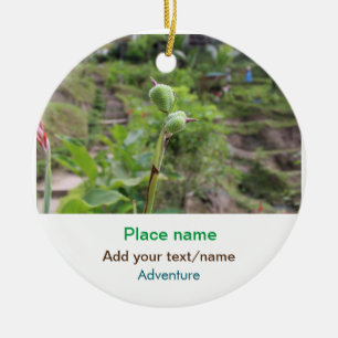 Nature plants photography beach water travel name ceramic ornament