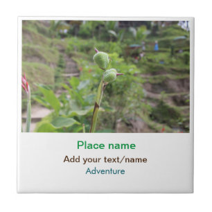 Nature plants photography beach water travel name ceramic tile
