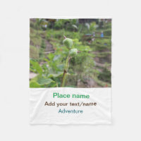 Nature plants photography beach water travel name