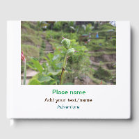 Nature plants photography beach water travel name