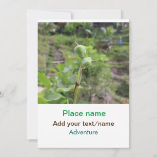 Nature plants photography beach water travel name invitation