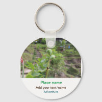 Nature plants photography beach water travel name
