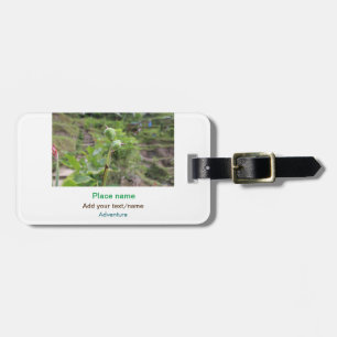 Nature plants photography beach water travel name luggage tag