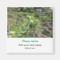 Nature plants photography beach water travel name