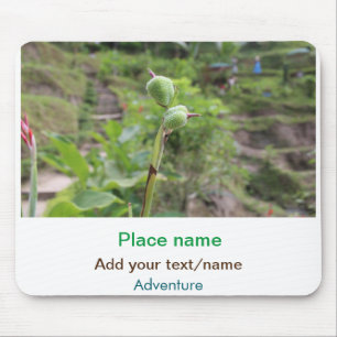 Nature plants photography beach water travel name mouse pad