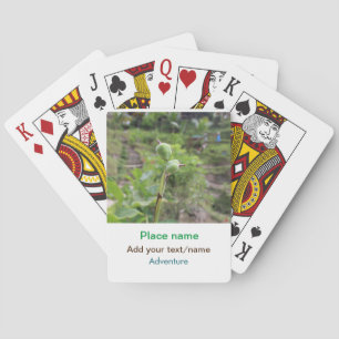 Nature plants photography beach water travel name playing cards
