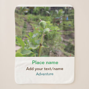 Nature plants photography beach water travel name sherpa blanket