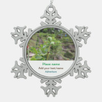 Nature plants photography beach water travel name
