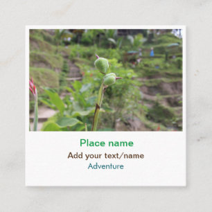 Nature plants photography beach water travel name square business card