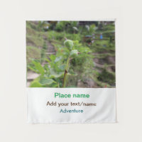 Nature plants photography beach water travel name
