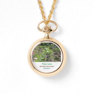 Nature plants photography beach water travel name watch