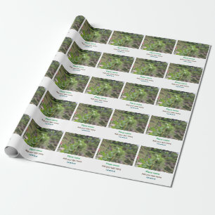 Nature plants photography beach water travel name wrapping paper