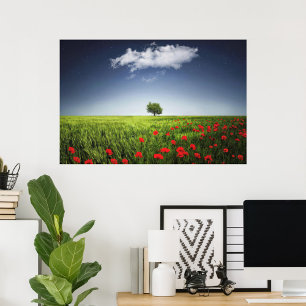 Nature Poppies field  Poster