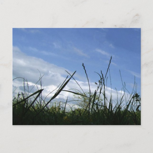 Nature Postcard (Front)