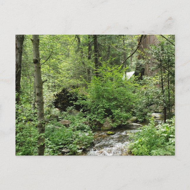 Nature Postcard (Front)