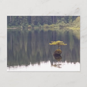 Nature Postcard