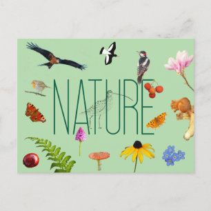 Nature Postcard