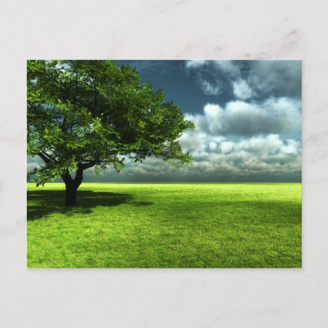 Nature postcard (Front)