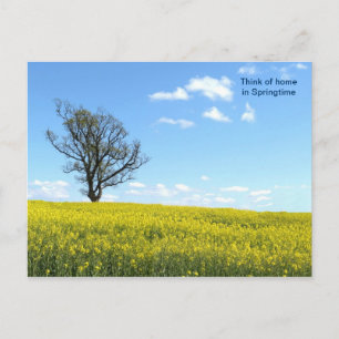 Nature Postcard