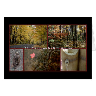 Nature Postcard Northwoods Wisconsin Seasonal