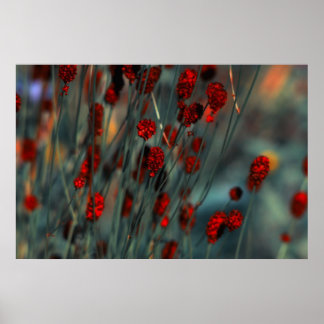Nature Poster