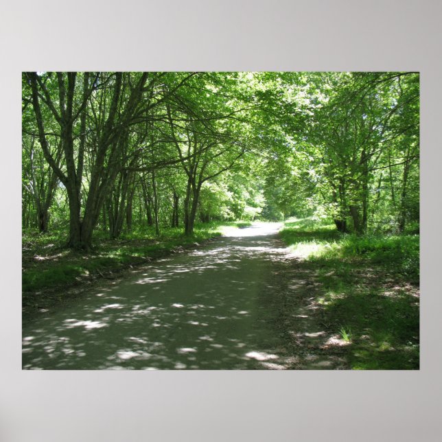 Nature Poster (Front)