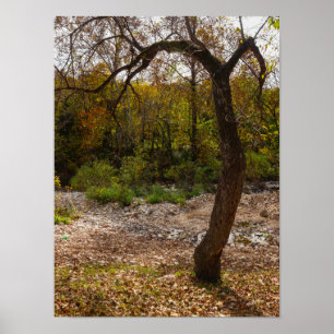Nature Reaching Out Poster