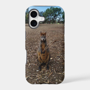 "Nature’s Feast: A Wallaby’s Snack Break"