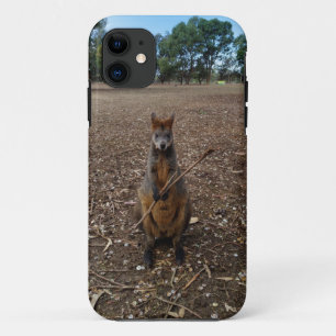 "Nature’s Feast: A Wallaby’s Snack Break" iPhone 11 Case